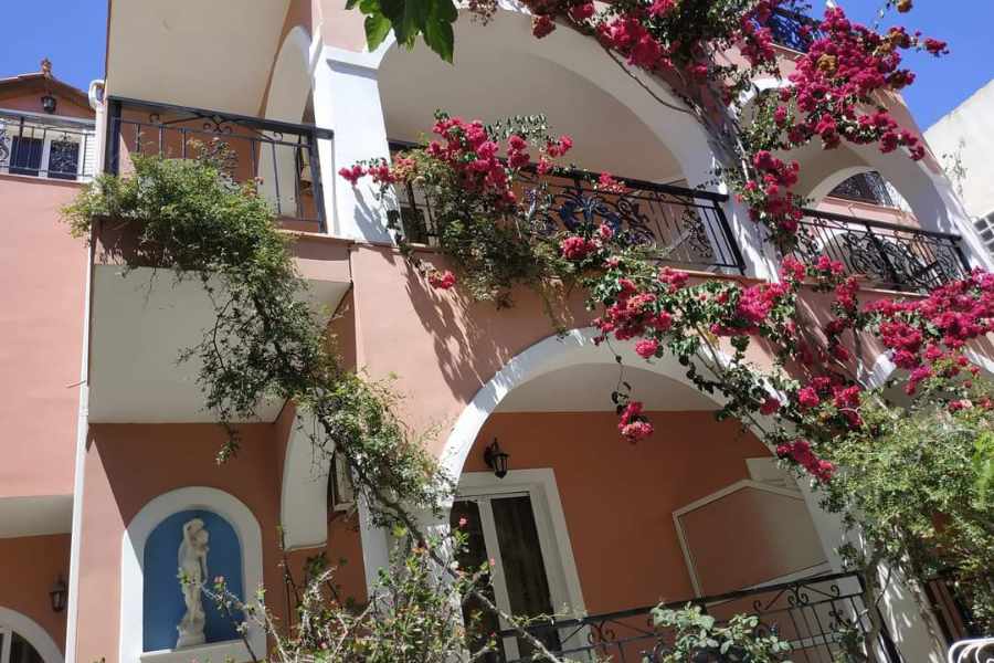 Delfini 2 Studios, Laganas Zakynthos Greece