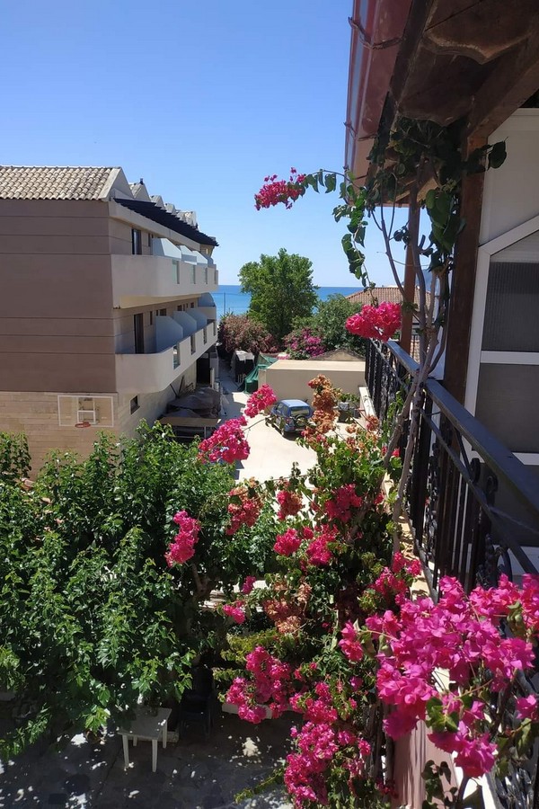 Delfini Laganas Zakynthos 03