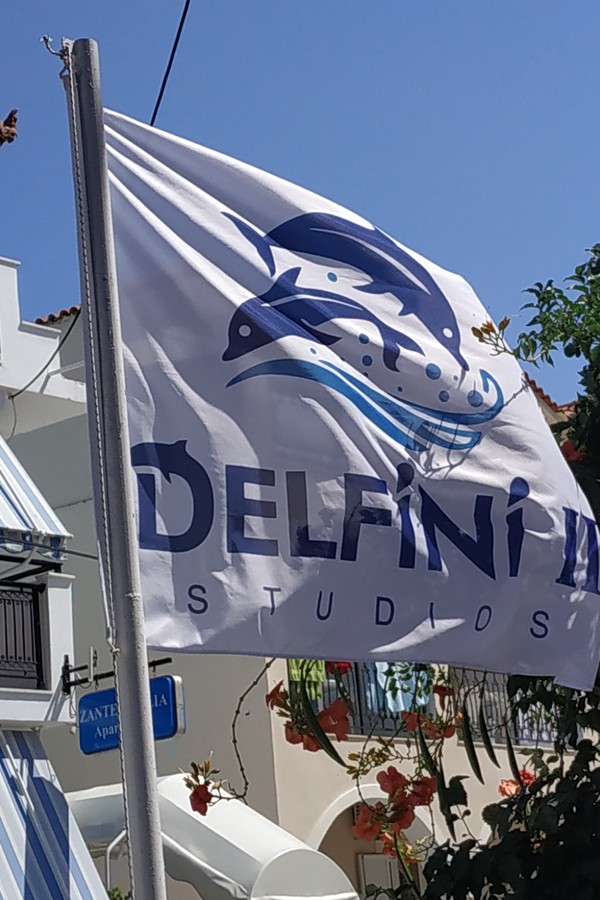 Delfini Laganas Zakynthos 02