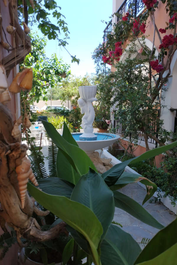 Delfini Laganas Zakynthos 04